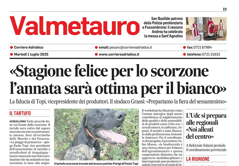 Corriere Adriatico
